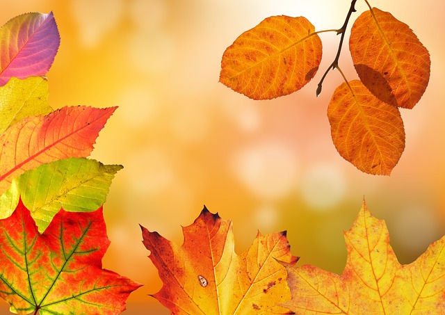 Gør efterårsferien til et eventyr – 5 tips til sjove aktiviteter